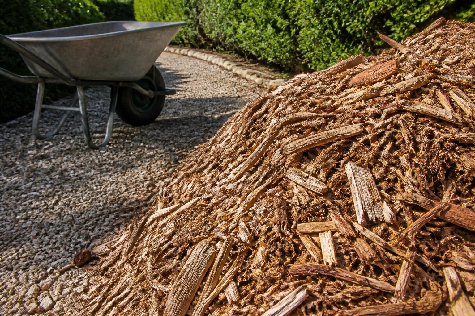 Tas de copeaux de bois gratuit prêt à être utilisé en paillage dans un jardin