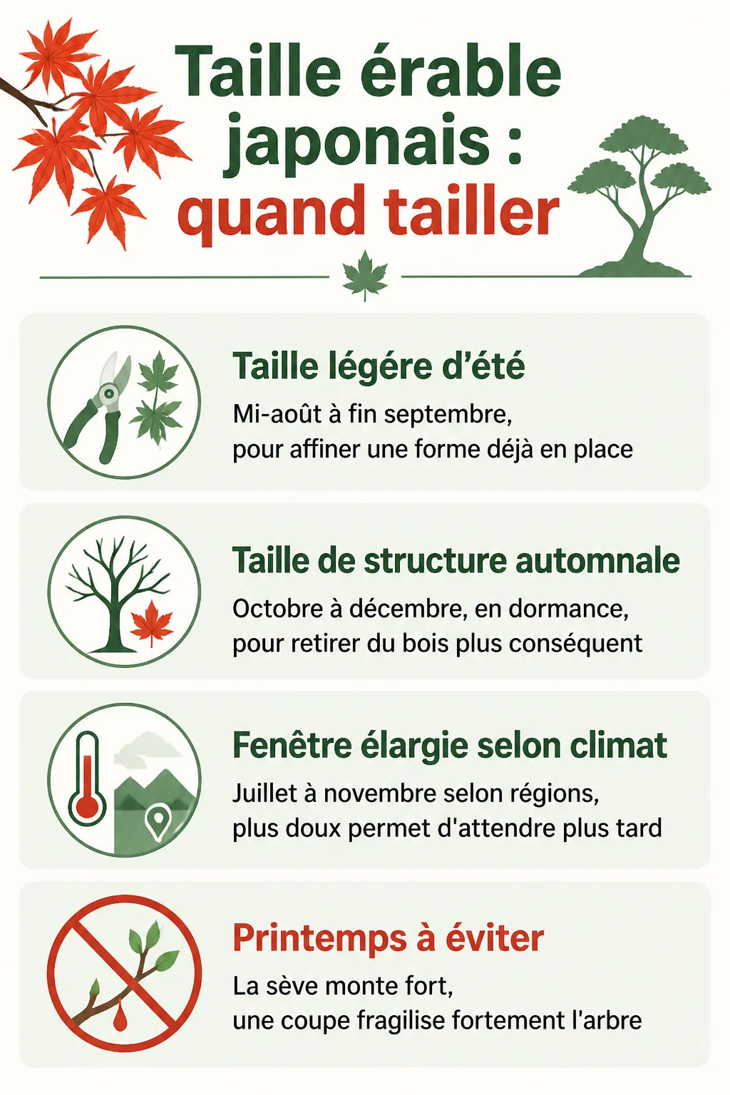Taille érable japonais : quand tailler : Taille légère d'été, Taille de structure automnale, Fenêtre élargie selon climat, Printemps à éviter